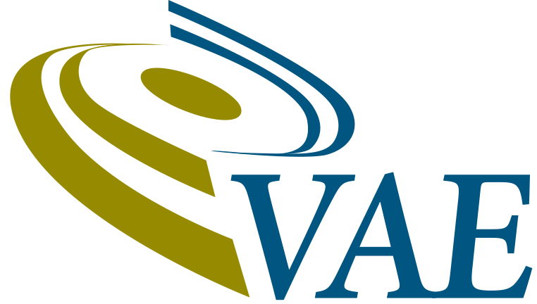 VAE - The Fusion of Creativity and Expertise